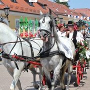 Cultura croata: Festival folcloristico Đakovo