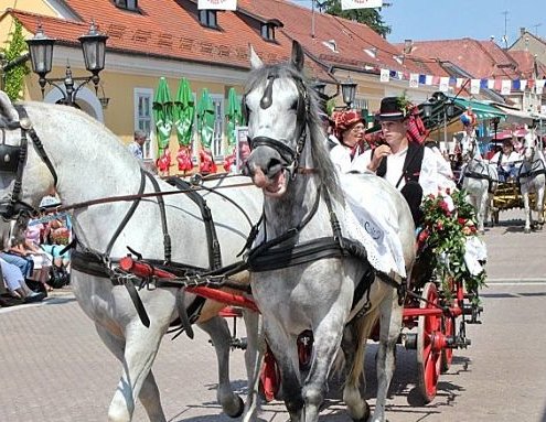 Cultura croata: Festival folcloristico Đakovo