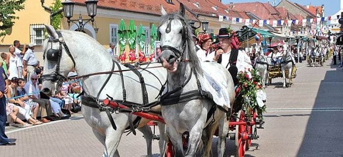 Cultura croata: Festival folcloristico Đakovo
